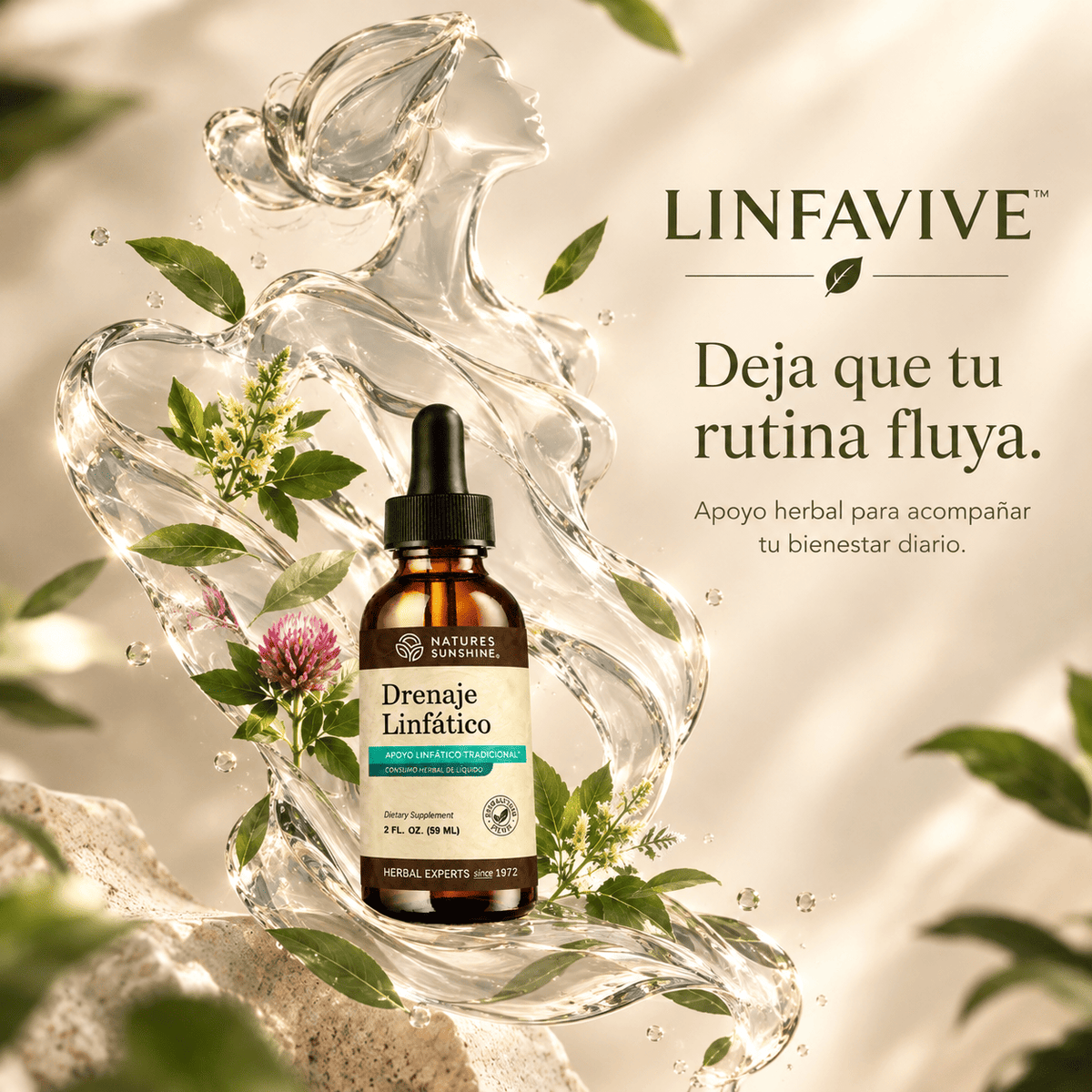 🌿 DRENAJE LINFÁTICO EN GOTAS