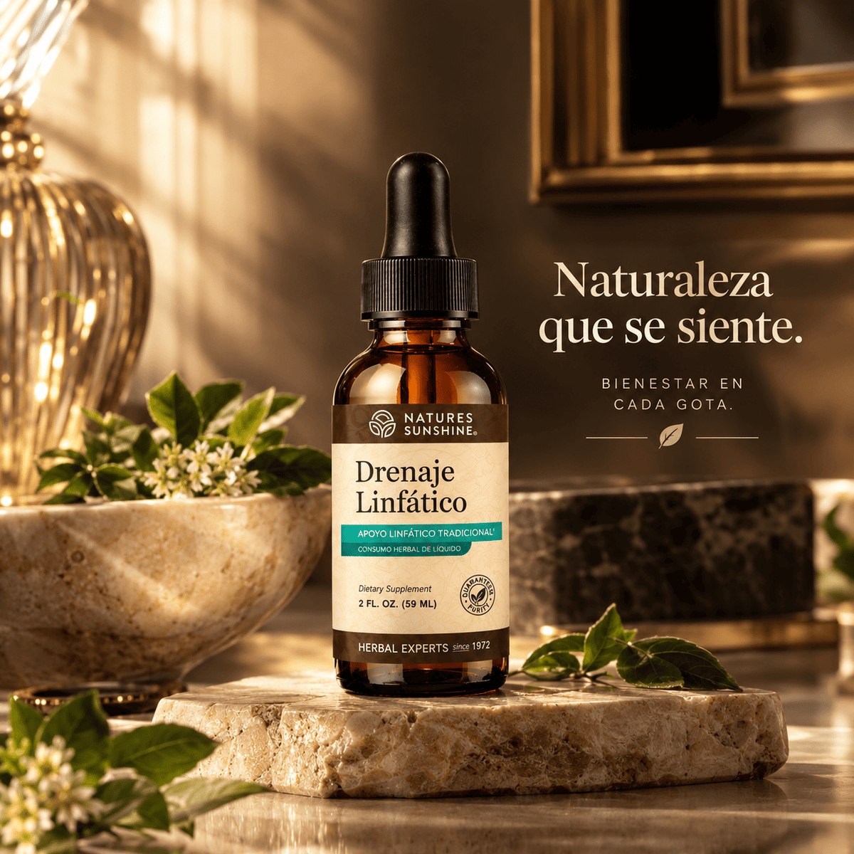 🌿 DRENAJE LINFÁTICO EN GOTAS